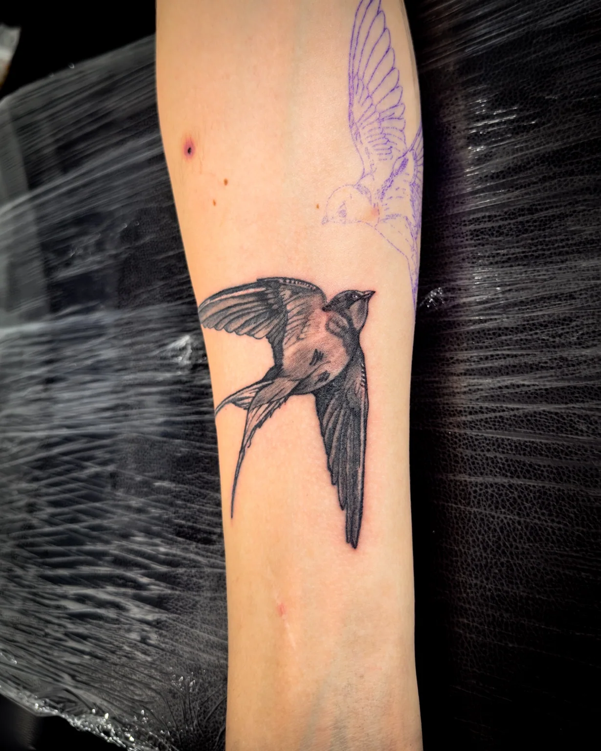 Tattoo-Portfolio von Gianni Ink Tattoo in Freiburg